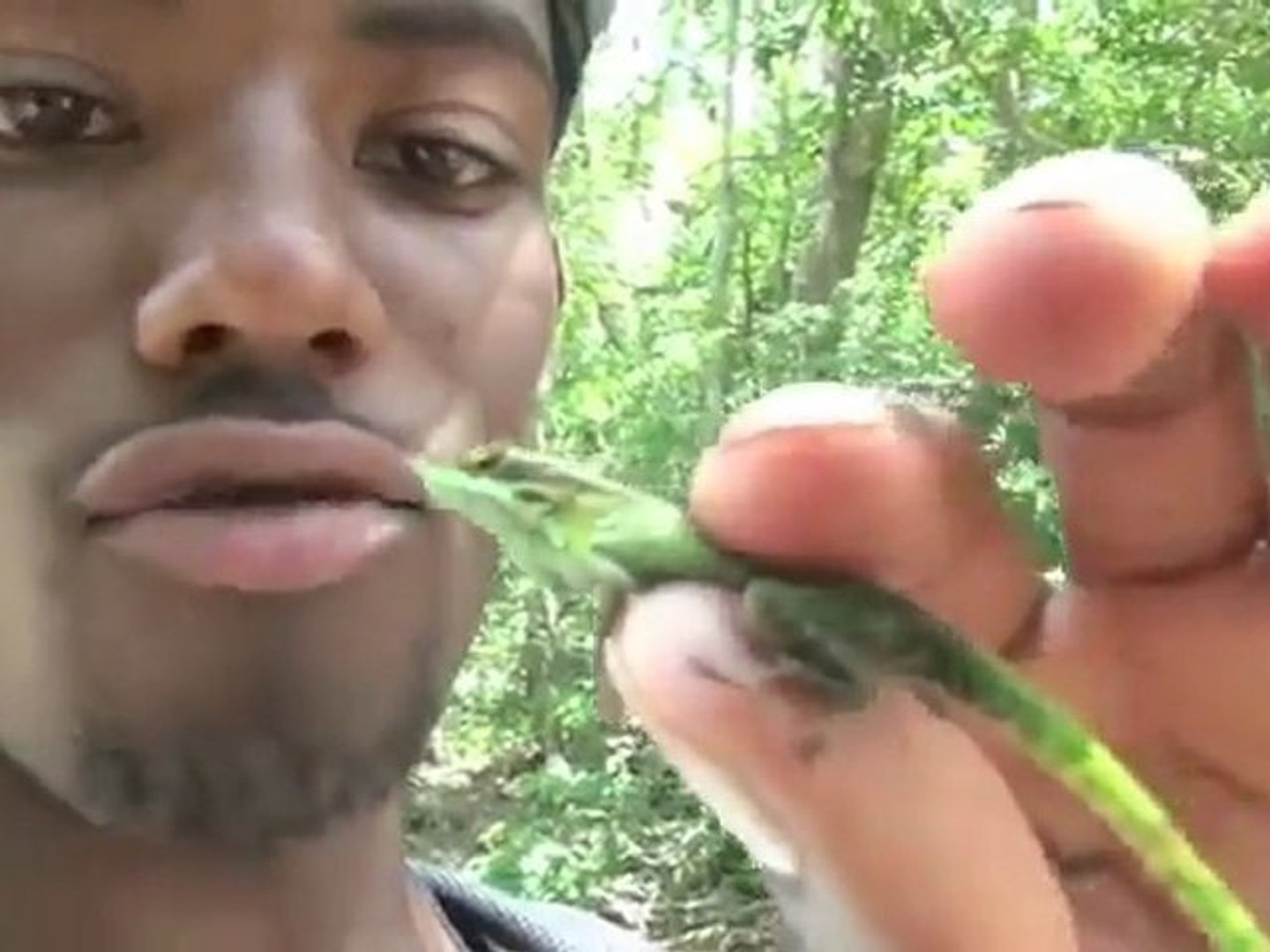 Adolescent Mange Un Lezard Vivant Video Dailymotion