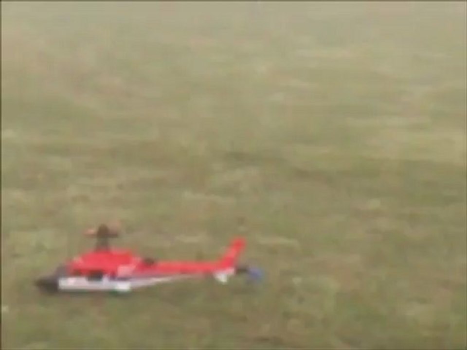 premier  vol belt cpcx( AMCM marquise)