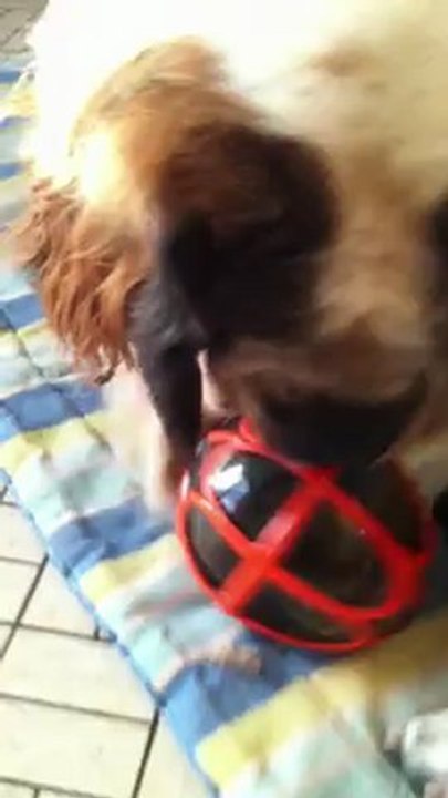 Loeuf a croquettes_sept12 012