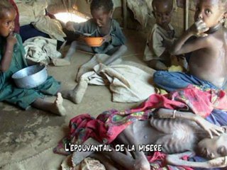 L'oiseau migrateur- chanson originale (paroles)