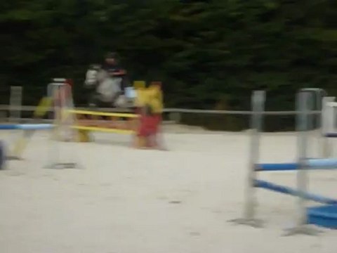 Rubis des Genêts, entier (CO) de 6 ans