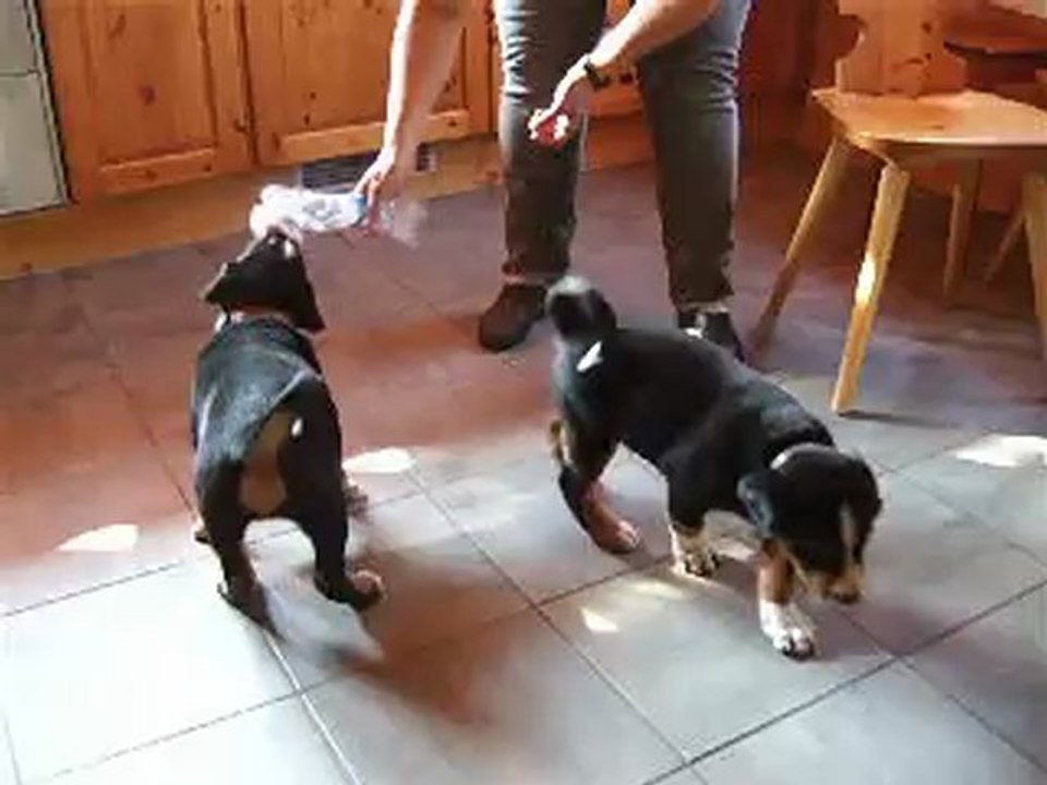 Kip et Eros - 7 semaines