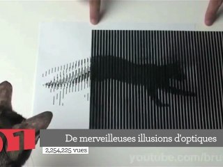 Top 5 : de l'animation avec des illusions d'optique à Shaquille O'Neal en slip