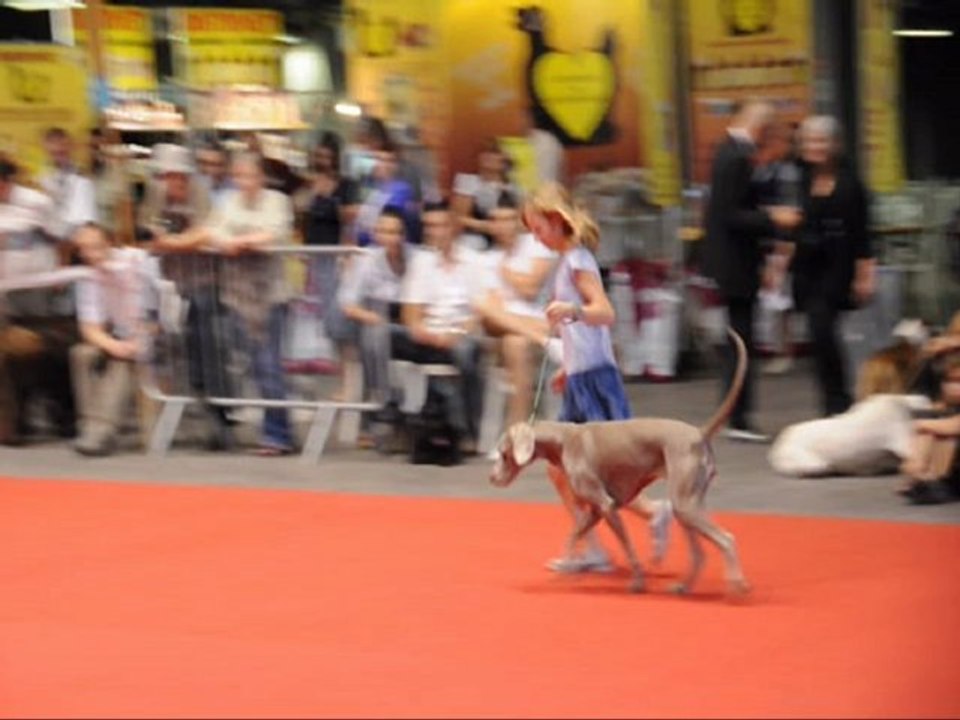 Pauline Gloria Pontoise 2012