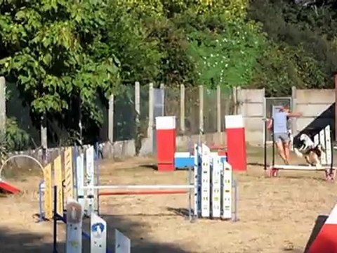 reprise d'entrainement d agility au canis club pessacais illacais 1 9 2012