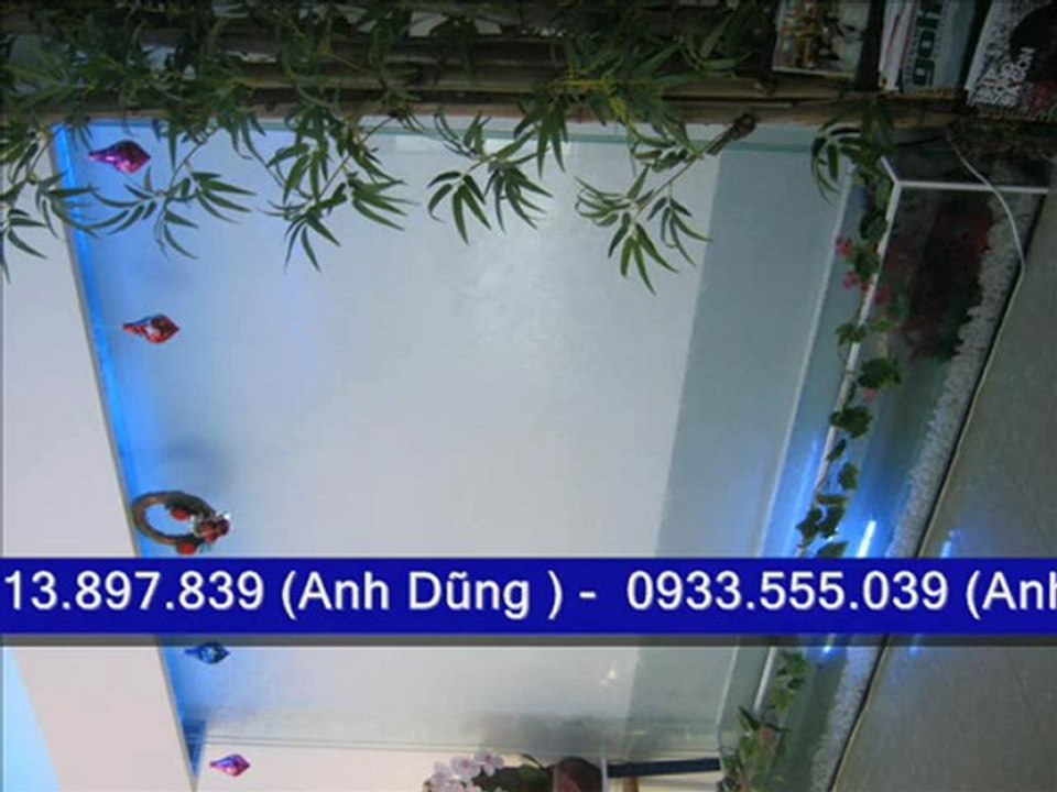 sơn sửa nhà