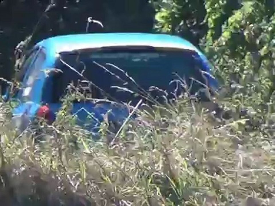 RALLYE DU PAYS D AUGE 2012