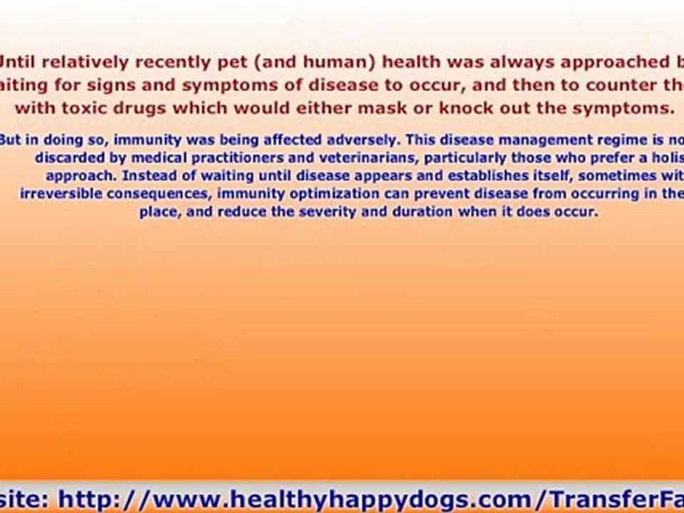 Immune System Booster For Your Pets