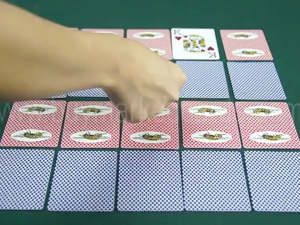 MARKED-DECK--BEE--marked-cards