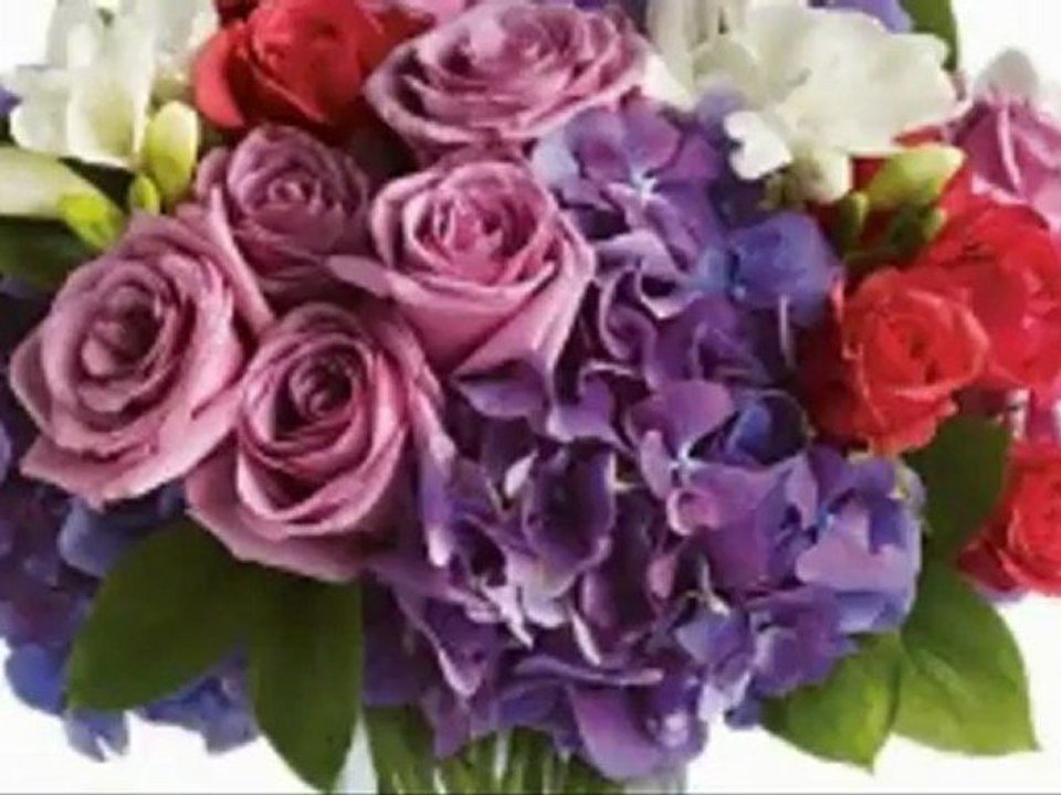Send Lavish Collection in Houston TX Ace Flowers Houston Lavish Collection