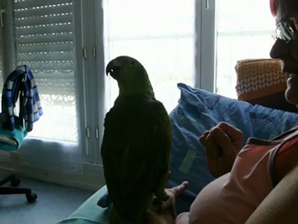 Philibert dit bonjour d'une patte et de l'autre aurevoir