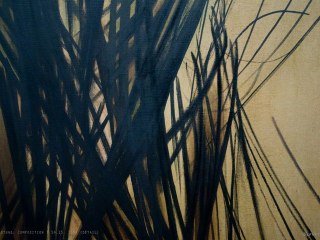 Forme et Informe au Musée des Beaux-Arts de Dole - Diaporama