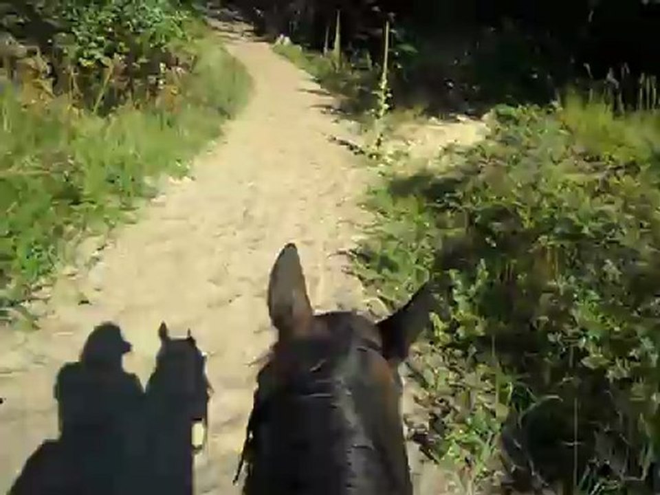 galop sur une montée