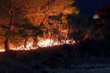 Kazdağları'nda yangın