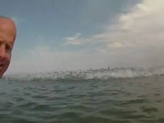 grand banc de poissons