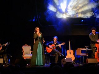 Carla Pires Voar Alto