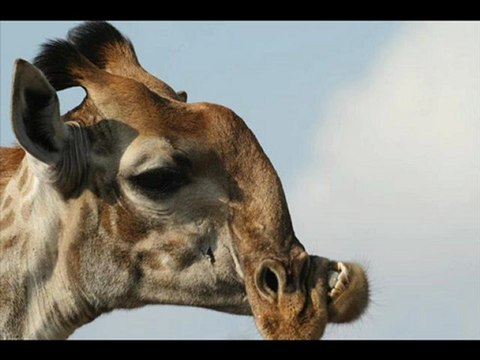 Kindle Touch 3G Best Cheap Black Friday 2012