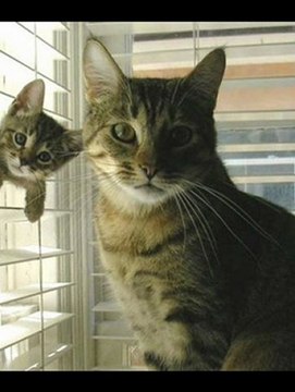 Kindle Touch 3G Black Friday 2012 Sale Best