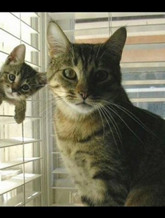 Kindle Touch 3G Black Friday 2012 Sale Best