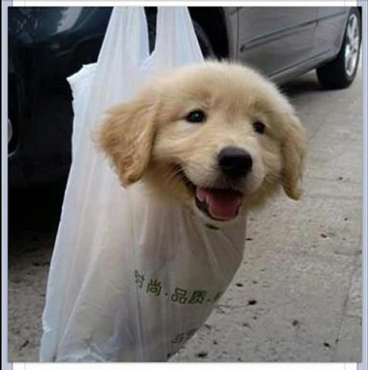 Kindle Touch 3G Black Friday 2012 Best price