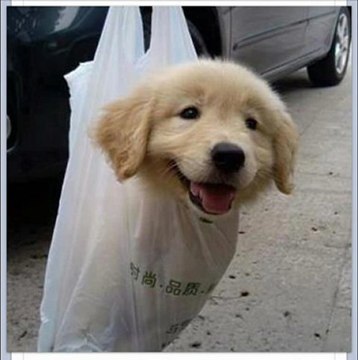 Kindle Touch 3G Black Friday 2012 Best price