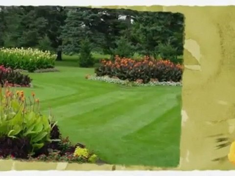 Bridgett's Lawn Services (561) 401-6863