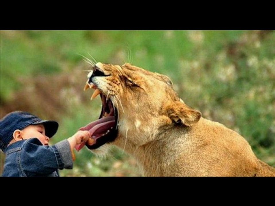 Kindle DX Best Black Friday 2012 Cheap