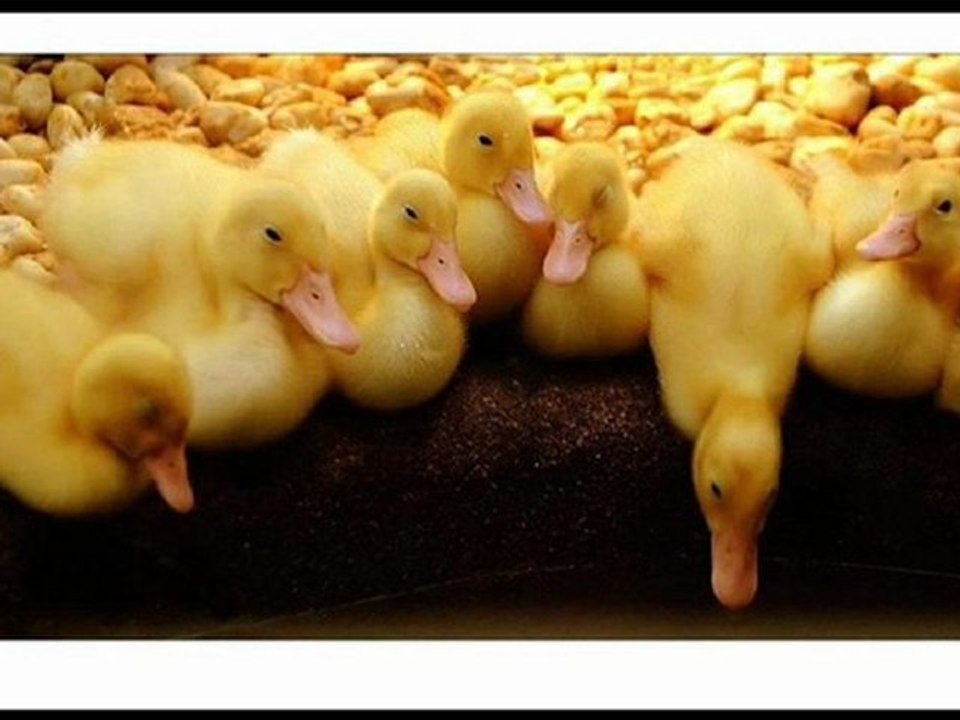 Kindle DX Black Friday 2012 Sale Best