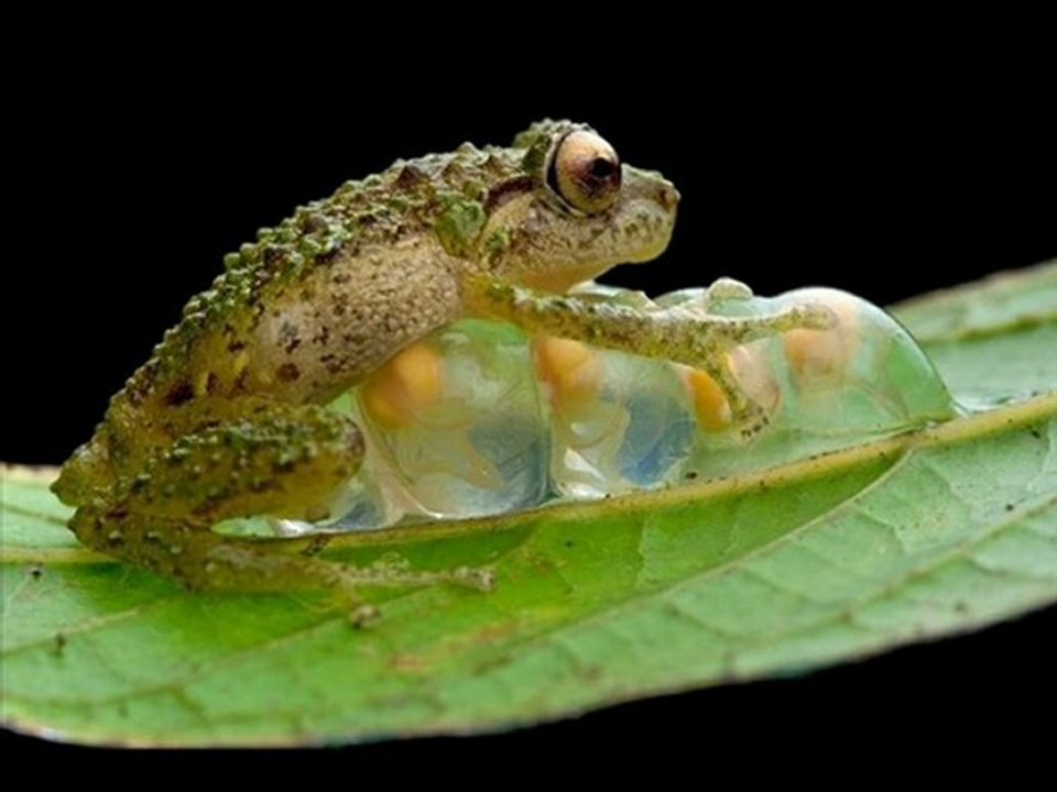 Kindle DX Black Friday 2012 Best Deal