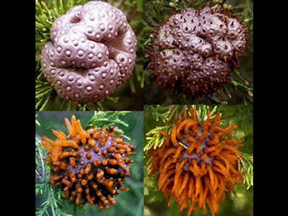 Kindle DX Black Friday 2012 Best price