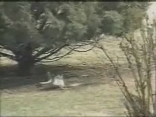 Tavşanın Yılana Yaptığı