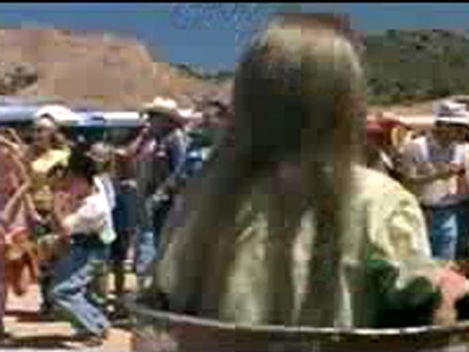 The Adventures Of Joe Dirt