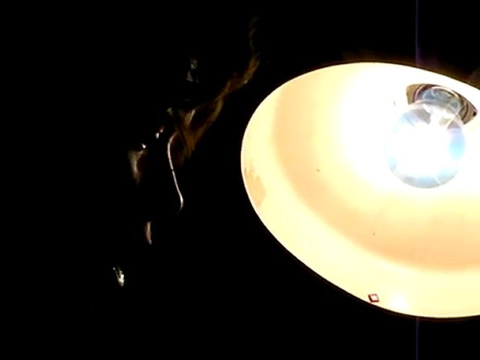 performance "Des agrégats" par Weigel Frédéric avec Anne Zimmerman, Grib