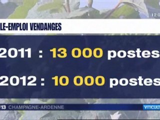 Cueilleurs au rendez-vous des vendanges
