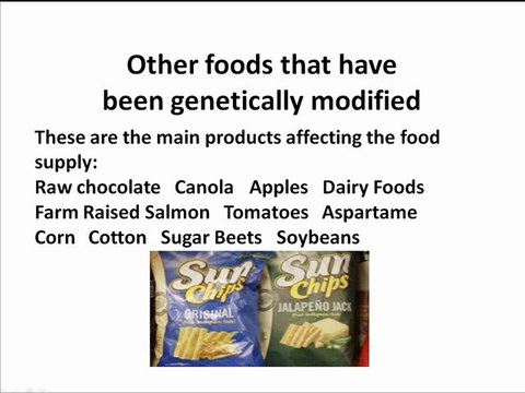 What Foods Are Genetically Modified