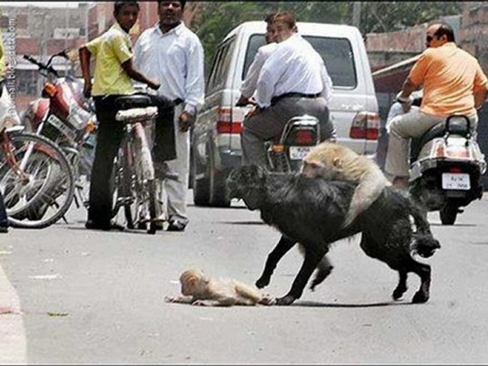 PlayStation 3 160GB Console Best Sale Black Friday 2012