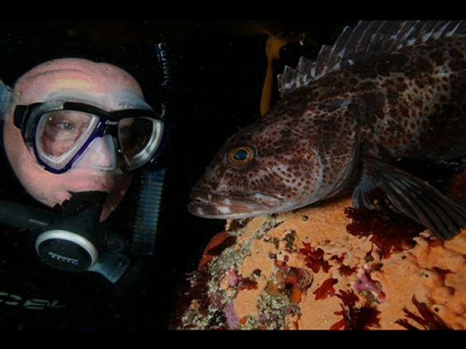 PlayStation 3 160GB Console Best Cheapest Black Friday 2012