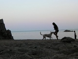 Entrainement à la plage, été 2012