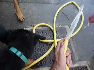 Hikki boit au tuyau d'eau avec son pére et sa mère