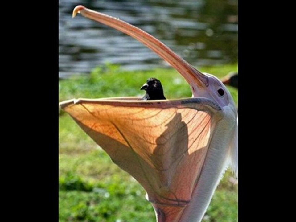 PlayStation 3 160GB Console Black Friday 2012 Best Cheap