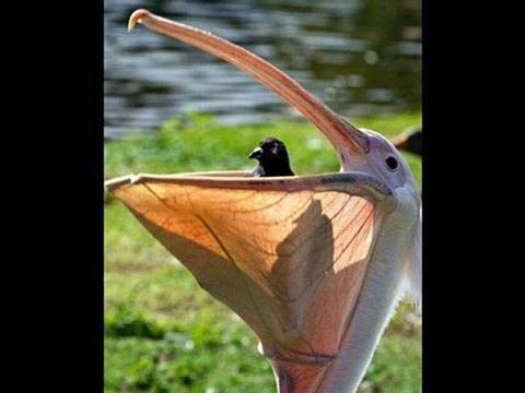 PlayStation 3 160GB Console Black Friday 2012 Best Cheap