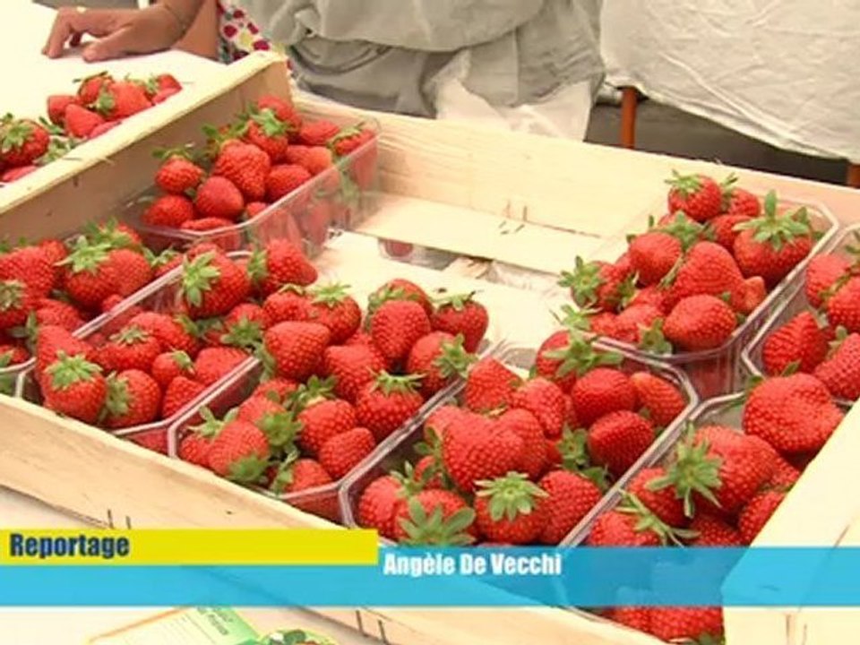 Opal'TV - Le JT - Edition du mardi 11 septembre 2012