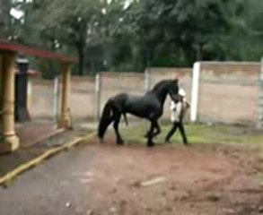 DİKKAT-kaderİminsesi.com-SİKİLDİNİZ-AKILLI-OLUN.GEVŞEKLER.GÜRKAN-PİCİ-