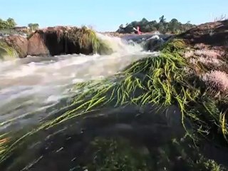 Saut Maripa : SURF, FUN & FUNK