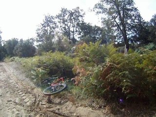 Sortie Ronce Les Bains 16.08.12