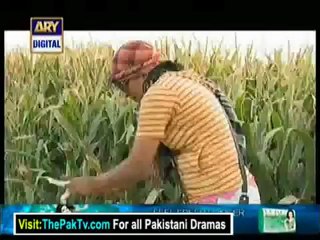 Desi Kuriyan Season 4 Episode 10 Part 1