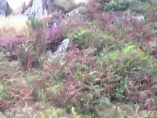 Bretagne roche escalade