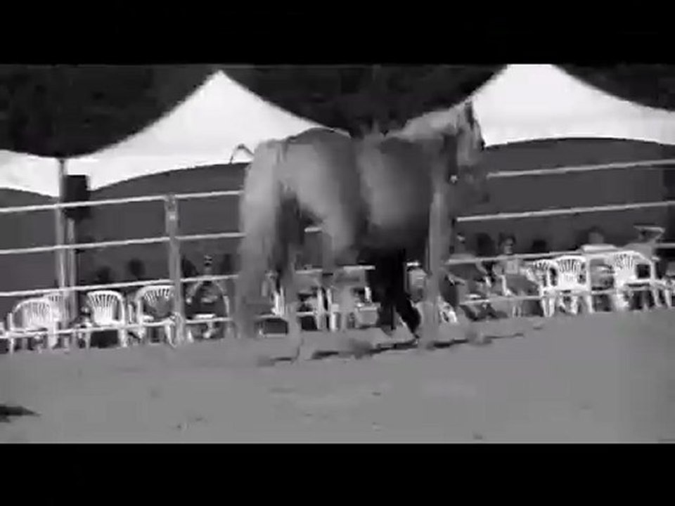 Haras de la cense 2012 ♥.