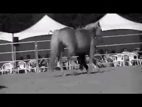 Haras de la cense 2012 ♥.