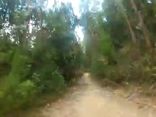 Trilhos de Sintra #1